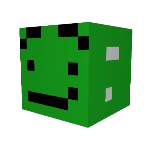 Atom100001 Minecraft avatar head, 3D render