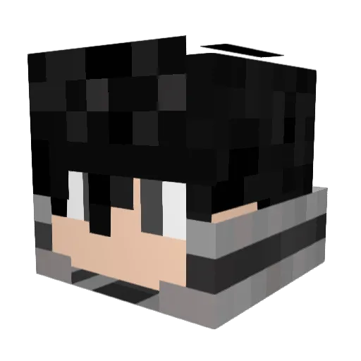 Atom1cPalad1n Minecraft avatar head, 3D render
