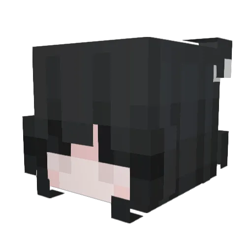 Atom206 Minecraft avatar head, 3D render