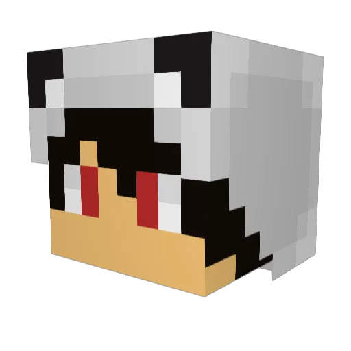 Atom315 Minecraft avatar head, 3D render