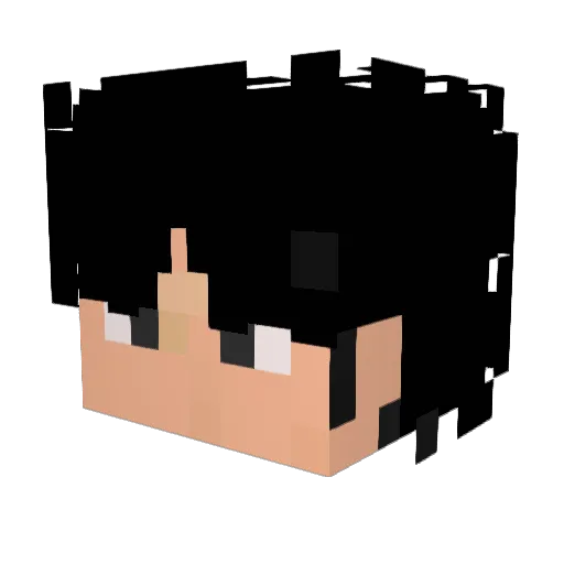 Atom43999 Minecraft avatar head, 3D render