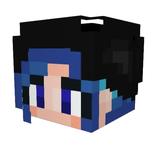 Atom4510 Minecraft avatar head, 3D render