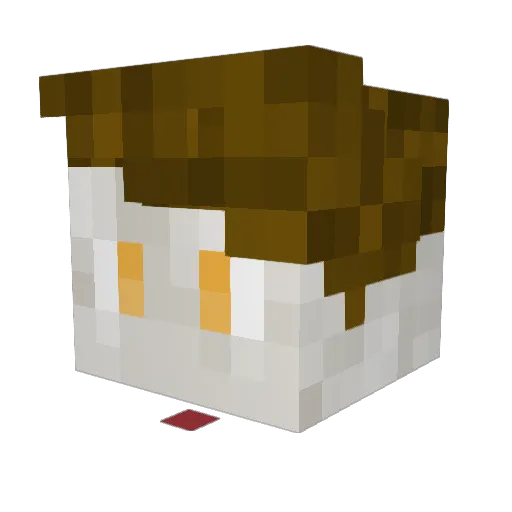 Atom_Studio Minecraft avatar head, 3D render