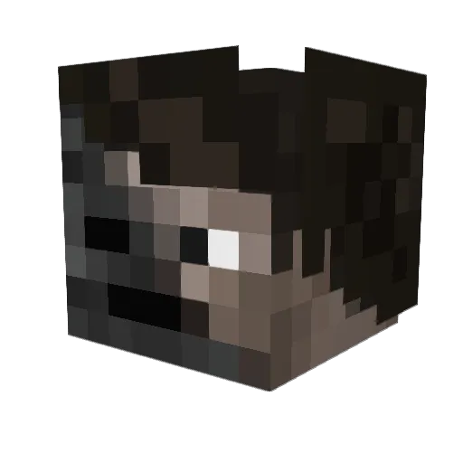 AtomicArrow7 Minecraft avatar head, 3D render