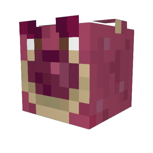 AtomicBisounours Minecraft avatar head, 3D render
