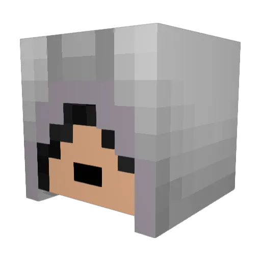 AtomicFaster Minecraft avatar head, 3D render