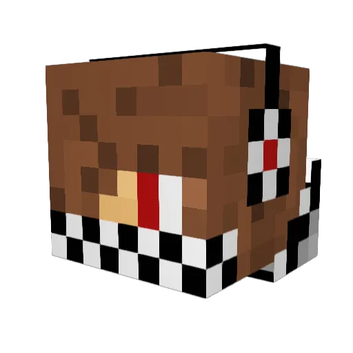 AtomicRage11 Minecraft avatar head, 3D render