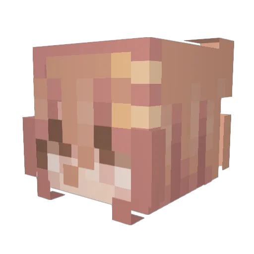 AtomicShadow99 Minecraft avatar head, 3D render