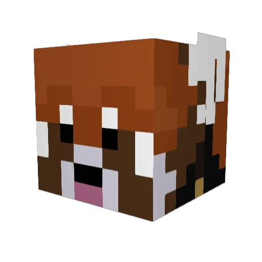 Atomicocean1941 Minecraft avatar head, 3D render