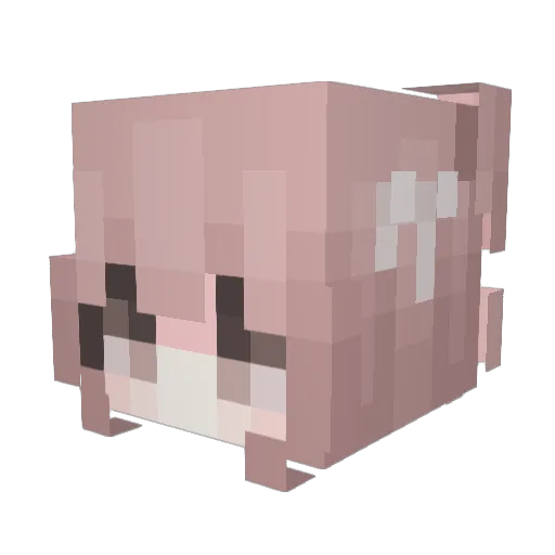 Atomicshadow69 Minecraft avatar head, 3D render