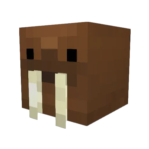 Atomicwalrusman Minecraft avatar head, 3D render