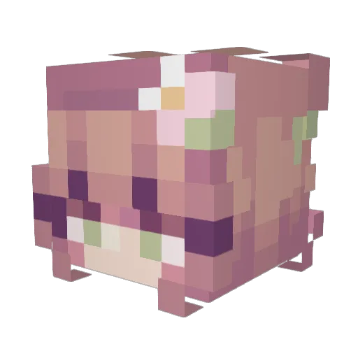 Atomiii_ Minecraft avatar head, 3D render