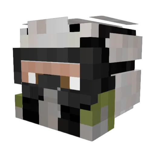 Atomovka Minecraft avatar head, 3D render