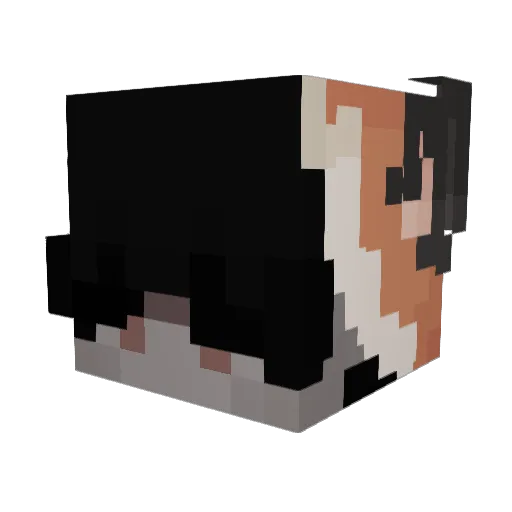 AtosisDestroyer Minecraft avatar head, 3D render