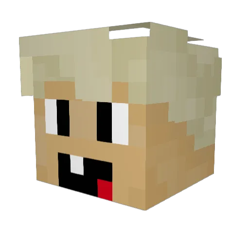 Atrake Minecraft avatar head, 3D render