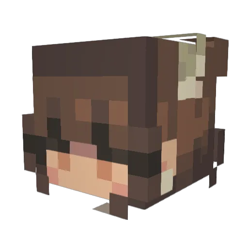 Atrament0us Minecraft avatar head, 3D render