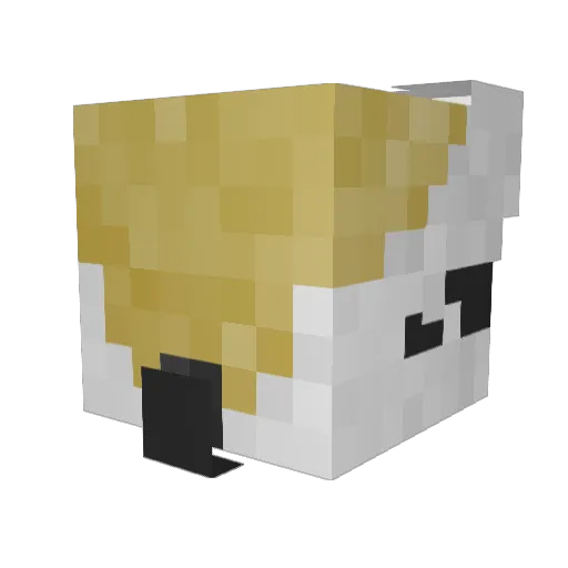 Atriox8771 Minecraft avatar head, 3D render