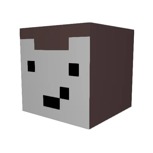 Atrixxi Minecraft avatar head, 3D render