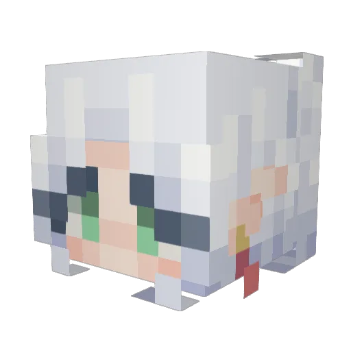 AtroPL Minecraft avatar head, 3D render
