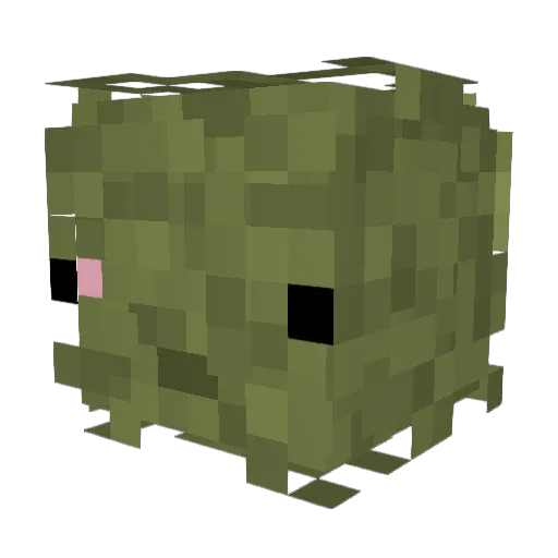 Atrocites Minecraft avatar head, 3D render