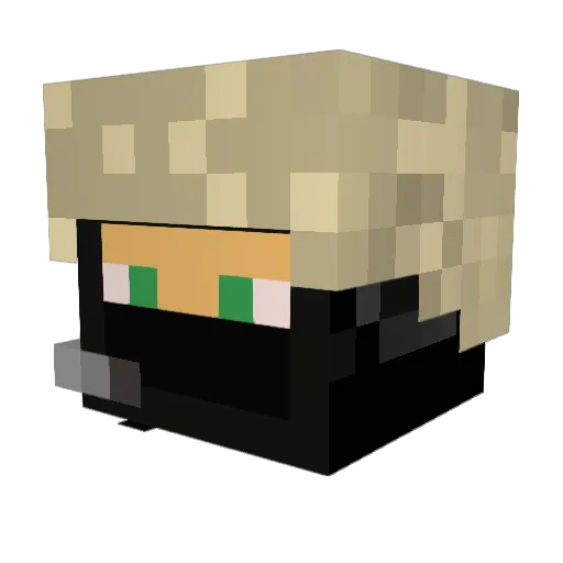 Attack4R Minecraft avatar head, 3D render