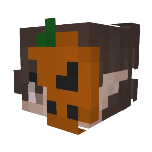 Atticusse Minecraft avatar head, 3D render