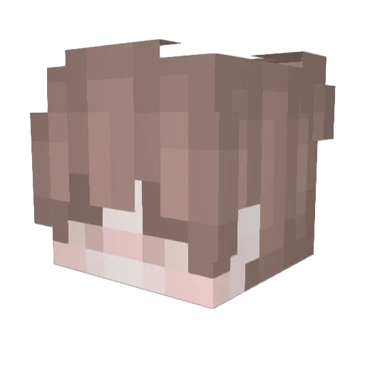 AttilaTuli Minecraft avatar head, 3D render