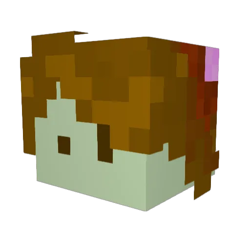 Atunjo Minecraft avatar head, 3D render