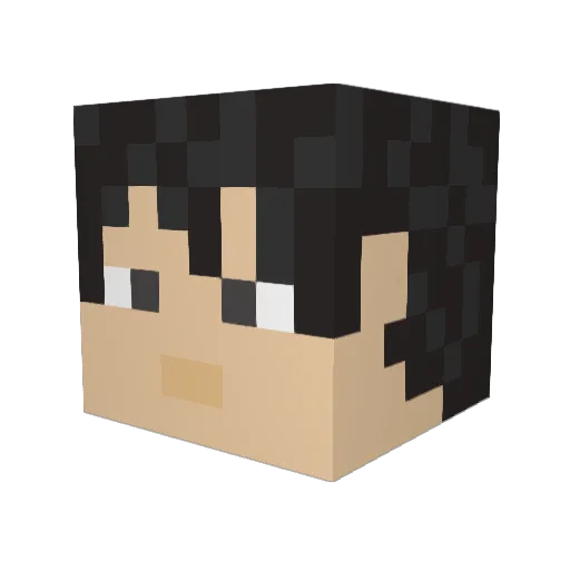 Atwood1582 Minecraft avatar head, 3D render