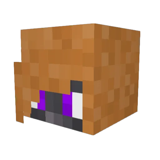 AtychiphobicBi Minecraft avatar head, 3D render