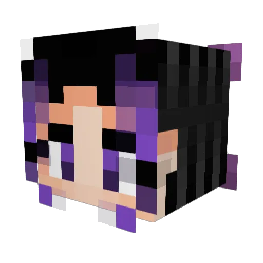AtypicalASIAN Minecraft avatar head, 3D render