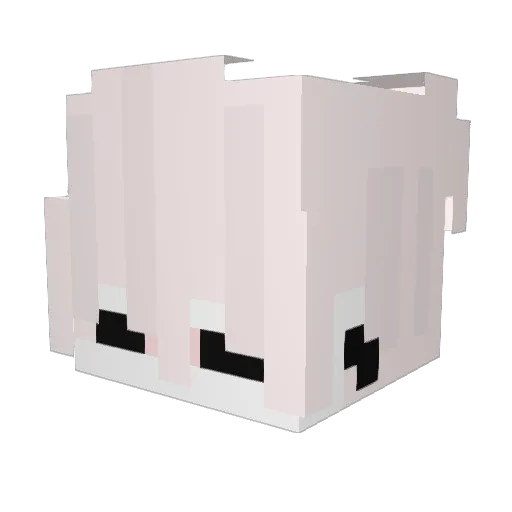AtzeNorris Minecraft avatar head, 3D render