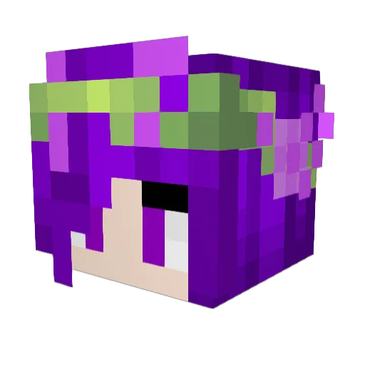 Au9_ Minecraft avatar head, 3D render