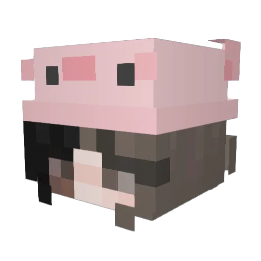 Auagaming Minecraft avatar head, 3D render