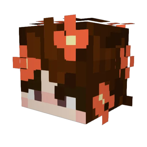 AubRhys Minecraft avatar head, 3D render