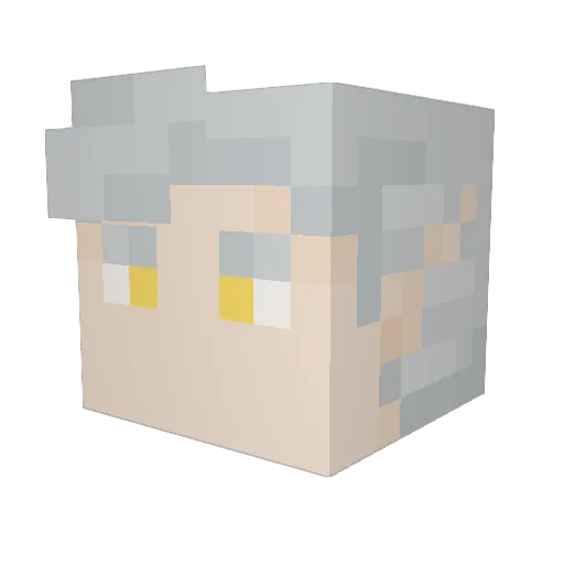Aubeurre Minecraft avatar head, 3D render