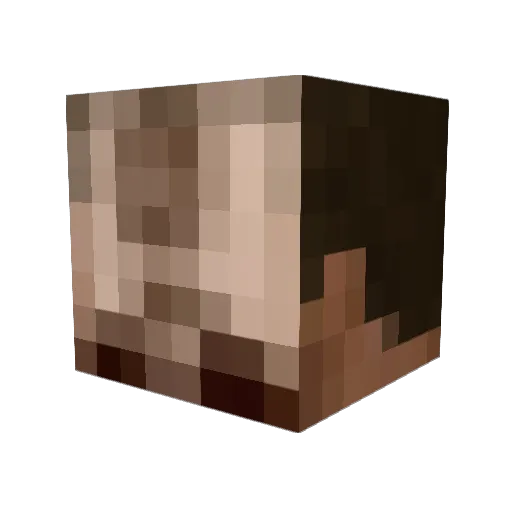 AubreyHolmes Minecraft avatar head, 3D render