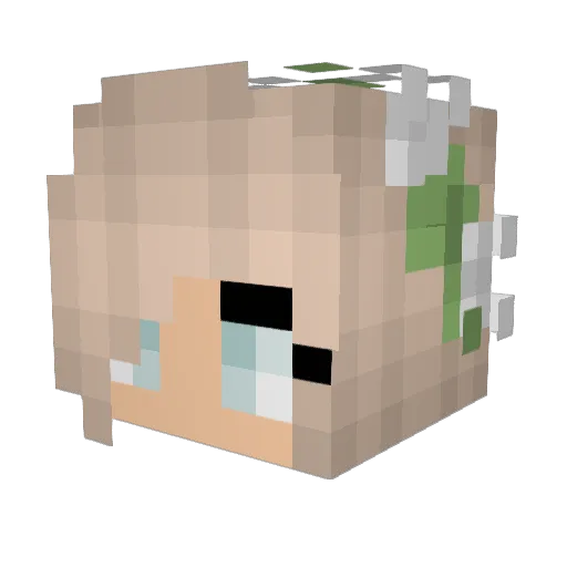 AubreyW2007 Minecraft avatar head, 3D render