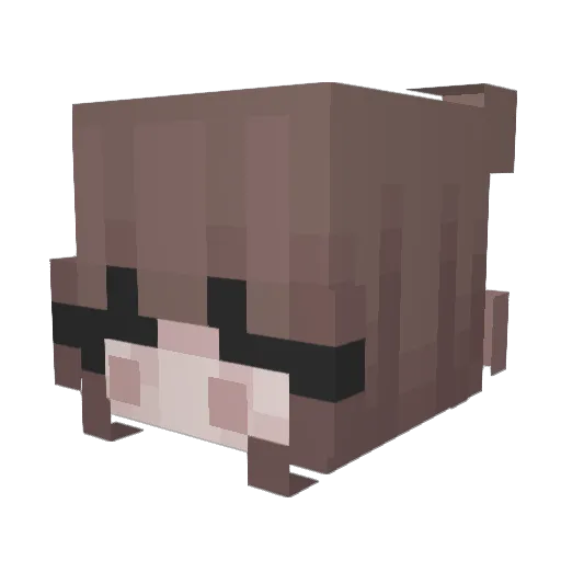 Aubrey_73 Minecraft avatar head, 3D render
