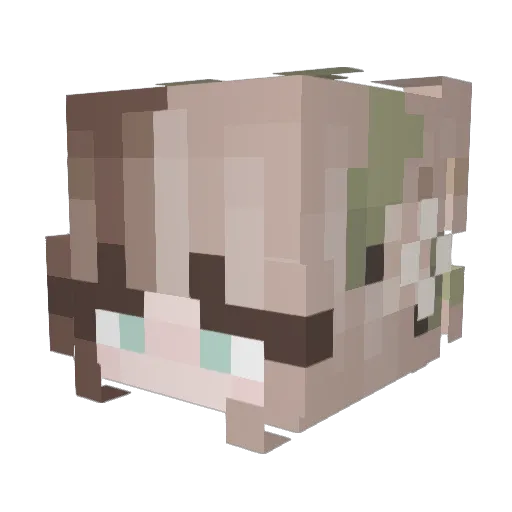 Aubrey_lol Minecraft avatar head, 3D render