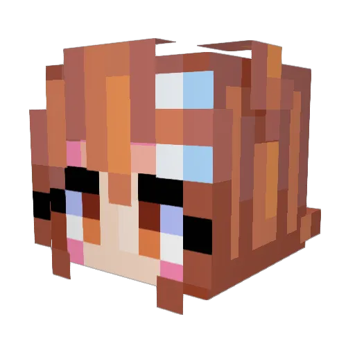 Aubreys_bio Minecraft avatar head, 3D render