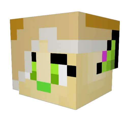 Aubrie_Da_Raptor Minecraft avatar head, 3D render