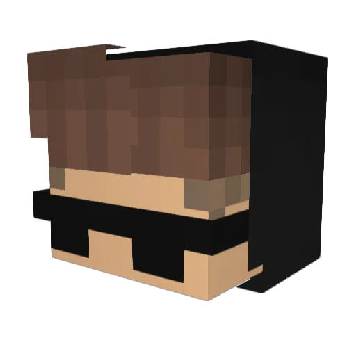 Aubs0107 Minecraft avatar head, 3D render
