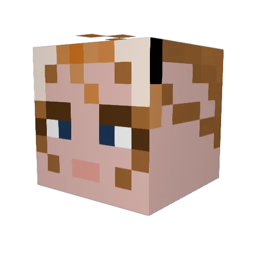AuburnSkywing Minecraft avatar head, 3D render