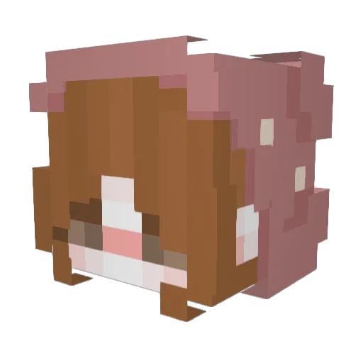 Auchline Minecraft avatar head, 3D render