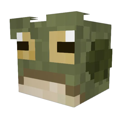 AucusticToad Minecraft avatar head, 3D render