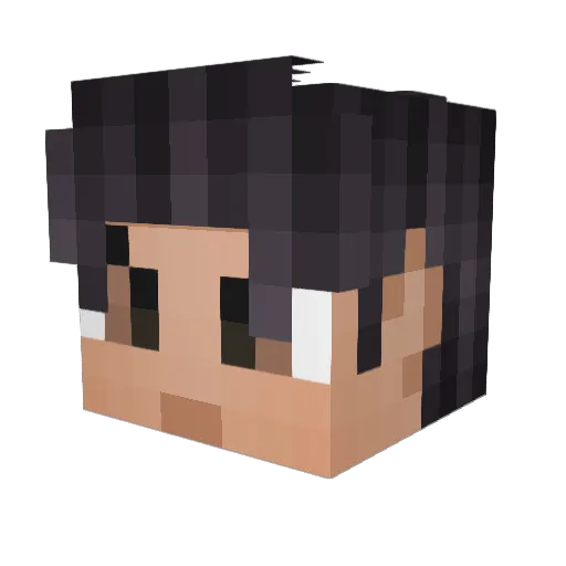 Auddicity Minecraft avatar head, 3D render