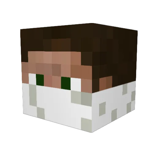 AudiA6L Minecraft avatar head, 3D render