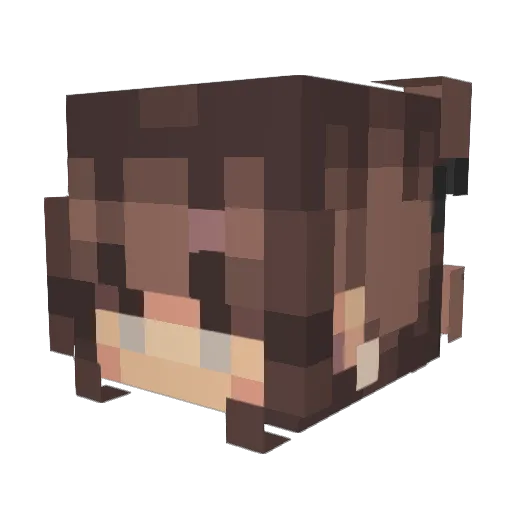Audrey236 Minecraft avatar head, 3D render