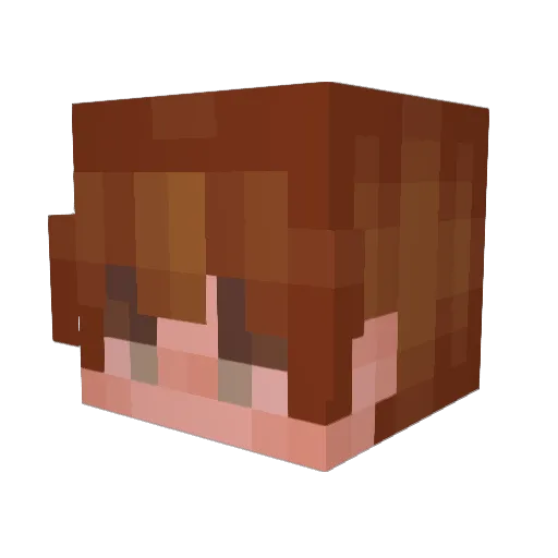 AudreyImagines Minecraft avatar head, 3D render